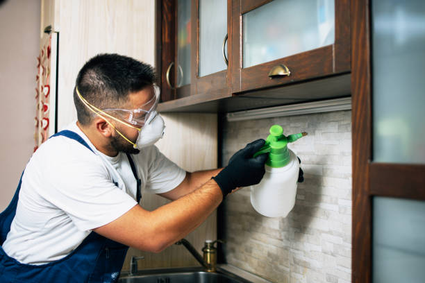 Best Best Pest Control Companies  in Church Hill, PA