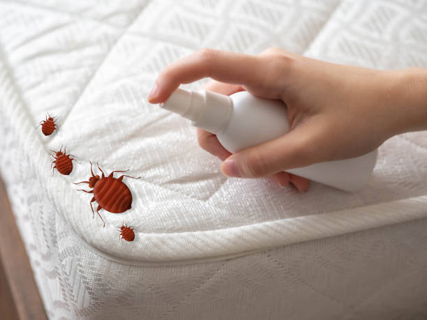 Best Commercial Pest Control Services  in Church Hill, PA